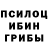 Галлюциногенные грибы Psilocybe Vladimirs Zgulovs