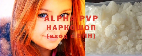 молекула духа Арсеньев