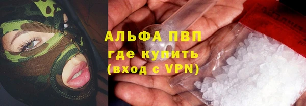 молекула духа Арсеньев