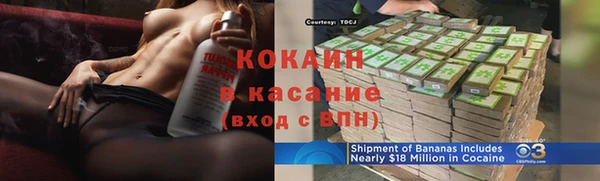 молекула духа Арсеньев