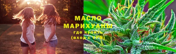 молекула духа Арсеньев