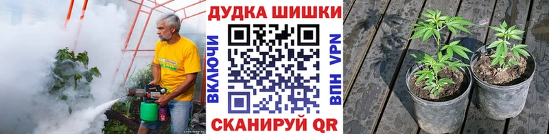 наркотики  darknet Telegram  Канабис план  Михайловск 